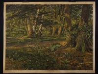 Laubwald und Unterflora