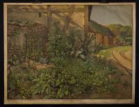 Ruderal- (und Mauer-) Vegetation