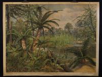 Vegetationsbild des mittleren Mesozoikums