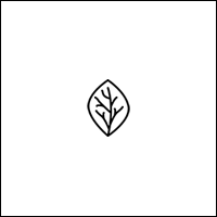 Agrostis rupestris